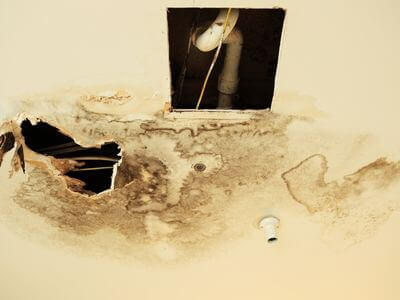 Professional water damage restoration services in Chesapeake - UrbanSprout